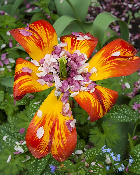 Finished for Another Year